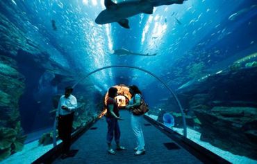 le grand aquarium
