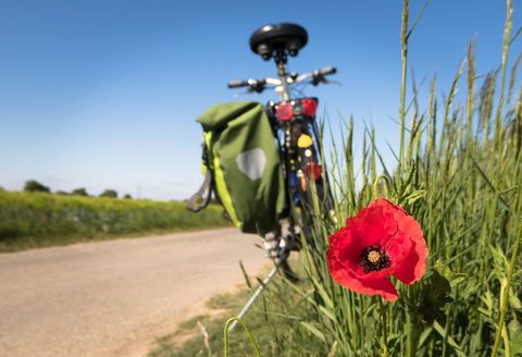 Vélo coquelicot